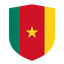 Cameroon Flat Shield