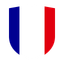 France Flat Shield