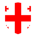 Georgia Flat Shield
