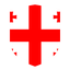 Georgia Flat Shield