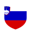 Slovenia Flat Shield