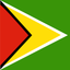 Guyana Flat Square