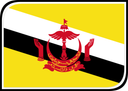 Brunei Leaf Badge