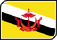 Brunei Leaf Badge