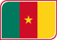 Cameroon Leaf Badge