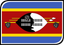 Eswatini Leaf Badge