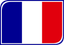 France Leaf Badge