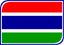 Gambia Leaf Badge