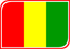 Guinea Leaf Badge