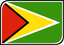 Guyana Leaf Badge