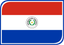 Paraguay Leaf Badge