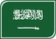 Saudi Arabia Leaf Badge