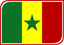 Senegal Leaf Badge