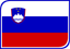 Slovenia Leaf Badge