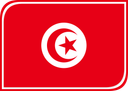 Tunisia Leaf Badge