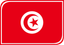 Tunisia Leaf Badge