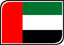 United Arab Emirates Leaf Badge