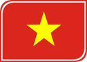 Vietnam Leaf Badge