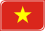 Vietnam Leaf Badge