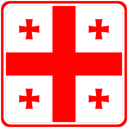 Georgia Square Badge