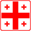 Georgia Square Badge