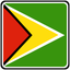 Guyana Square Badge