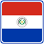 Paraguay Square Badge