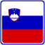Slovenia Square Badge