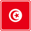 Tunisia Square Badge