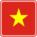 Vietnam Square Badge