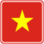 Vietnam Square Badge