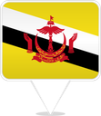 Brunei Square Pin