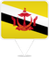 Brunei Square Pin