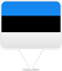 Estonia Square Pin
