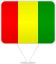 Guinea Square Pin