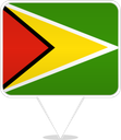 Guyana Square Pin