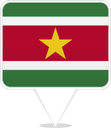 Suriname Square Pin
