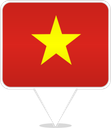 Vietnam Square Pin