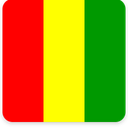 Guinea Square Shadow