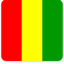 Guinea Square Shadow