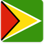 Guyana Square Shadow
