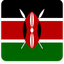 Kenya Square Shadow