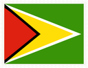 Guyana Stamp Rectangle