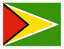Guyana Stamp Rectangle