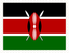 Kenya Stamp Rectangle