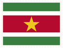 Suriname Stamp Rectangle