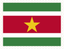 Suriname Stamp Rectangle