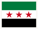 Syria Stamp Rectangle