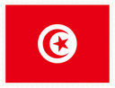 Tunisia Stamp Rectangle